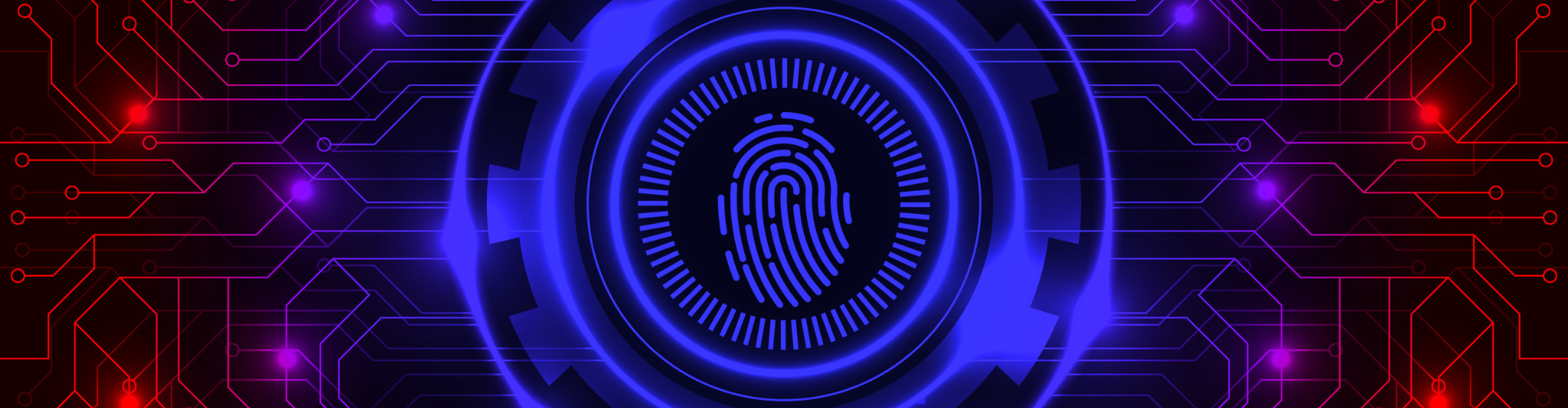 Biometric fingerprint identification
